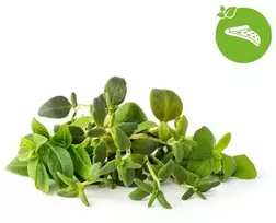 „Click & Grow“ augalų ankštys, itališkų žolelių mišinys, 9 vnt.