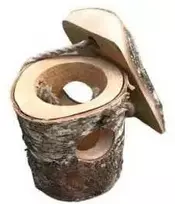 Nežinomas Lesykla, 1.5 cm x 1 cm