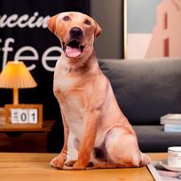 Labrador Corgi Dog Stuffed Pillow 3D Simulation Dog Cushion Creative Dog Plush Toys  Birthday Gifts Labrador Retriever