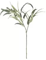 Bloomingville Eukalipto stiebas, žalias, dirbtinės gėlės