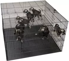 Show Tech didelis šunų maniežas 122x122x81cm – su reguliuojamu dvigubu dugnu, erdgaus ir saugaus dizaino
