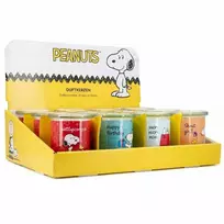 Peanuts Žemės riešutai Thekendisplay 25 x 100g