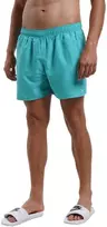Nike Maudymosi Šortai Vyrams 5""Volley Short Mėlyna NESSA560 480