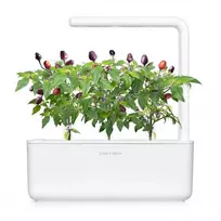 „Click And Grow“ augalų ankštys „Click & Grow“, 9 vnt. pakuotė – Violetinė čili pipirų spalva – alyvinė
