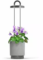Click And Grow Click & Grow HydroVase - Pilkas