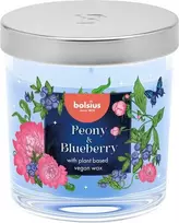 Žvakė, aromatinė Bolsius Bijūnų ir mėlynių, 25 h, 10 cm