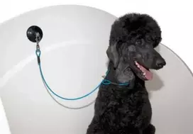 Show Tech Groom-X vonelių rankena – Vieno siurbtuko, saugus sukibimas, ergonomiškas dizainas