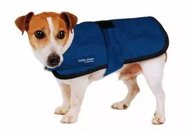 Show Tech Cool Coat Vėsinanti Liemenė – Lengvas Kvėpuojantis Dizainas, 80 cm Dydis
