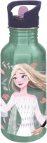 Frozenq Stor,Disney Šaldytas aliuminio buteliukas-gertuvė - 545 ml