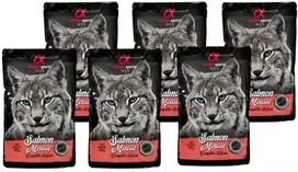 ALPHA SPIRIT WET putėsiai katėms su lašiša 85g 6vnt