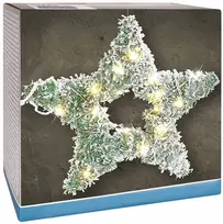 Šviečianti žvaigždė LED 58 cm - 40 lempučių, žalia