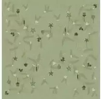 Servetėlės Bio Dunisoft 40 x 40 cm Airlaid Noel Pistachio Žalias, 60 vnt./pak.