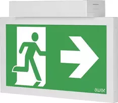 Pce AWEX avarinis šviestuvas INFINITY II AC LED 1W 3h vienos paskirties PT pilka 2ACS/1W/CSE/PT/GR - IF2ACS/1W/CSE/PT/GR