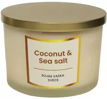 Artflow Svece no sojas vaska 400g, Coconut & Sea salt