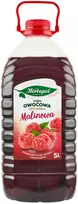 Herbapol Pantry aviečių vaisių sirupas su vitaminu C, 5 l - Herbapol