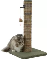 Pets Collection ZOLUX draskyklė katei słupek BOREAL M 60 cm žalia