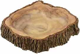 Terra Natura Terariumo dekoracija, imituojanti medieną, 17 cm