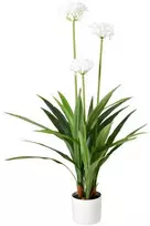 Lumarko Didelė dirbtinė gėlė vazone Agapantas, 70 x 120 cm