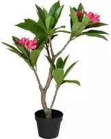 Kaemingk Dirbtinis vazoninis frangipani medis, 50 x 90 cm
