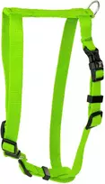 Barry King Classic šunų pakinktai, limetinės spalvos, L-XL, 25mm/75-100cm