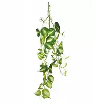 Exo Terra Terariumo dekoracija, kabantis augalas, vidutinio dydžio, 23 * 15 * 94 cm