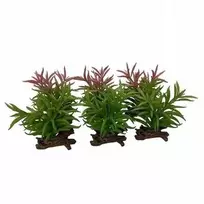 Terra Natura Crassula sukulentas, terariumo dekoracija, spalvų mišinys, 13x10,5x16 cm