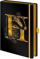 Pyramid Piramidė HARRY POTTER UŽRAŠAI ZESZYT HUFFLEPUFF 120k