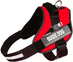 Julius K9 "Guide" Dirželis Raudonas – Reguliuojamas Atspindintis Šunų Pavadėlis, Tvirta Komfortiška Konstrukcija
