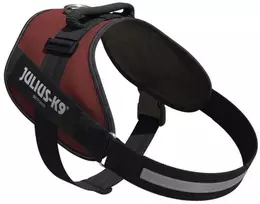 Julius-K9 IDC Powerharness Bordo-Ruda – Premium reguliuojama šunų pavadėlė, bordo, 3 dydis