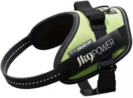 Julius-K9 IDC Powerharness Neonožaliai žalia – Aukščiausios kokybės reguliuojamas diržas, Mini-Mini dydis, Didelio matomumo dizainas