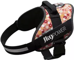 „Julius-K9” IDC Powerharness Rožinė Flowers – Aukščiausios kokybės diržas su gėlių raštu, 2 dydis