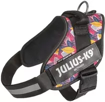 Julius-K9 IDC Powerharness Leaf2 – Auksinio rašto pakinktai, ilgaamžiškumas ir patogus dizainas