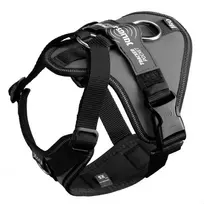 Julius-K9 IDC Longwalk Light Antracito – Lengvas trekingo dizainas su GPS kišenėle, XS Pilkas