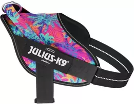 Julius-K9 Power & More Vibe Diržas – Adaptiškas pavadėlio žiedas, Palmių raštas, XS dydis