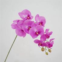 Tikro lietimo dirbtinės orchidėjos gėlės, 9 žiedų baltos Phalaenopsis, ilgu kotu geltonos dirbtinės orchidėjos, namų, vestuvių stalo puošybai