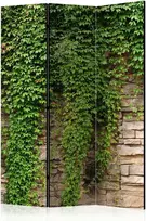 Artgeist Pertvara - Ivy wall