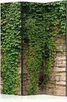 Artgeist Pertvara - Ivy wall