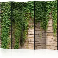 Artgeist Pertvara - Ivy wall II