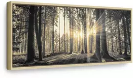 Artgeist Paveikslas - Forest Sun