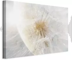 Artgeist Paveikslas - Dandelion in the Sun (1 Part) Wide