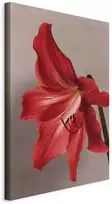 Artgeist Paveikslas - Raudona Flower (1 Part) Vertical