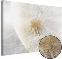 Artgeist Paveikslas - Dandelion in the Sun (1 Part) Wide