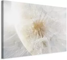 Artgeist Paveikslas - Dandelion in the Sun (1 Part) Wide