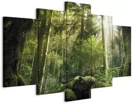 Artgeist Paveikslas - The Beauty of the Forest