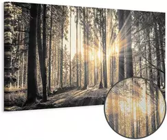 Artgeist Paveikslas - Forest Sun