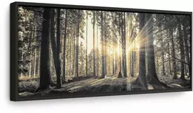 Artgeist Paveikslas - Forest Sun
