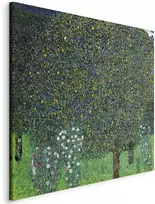 Artgeist Paveikslas - Gustav Klimt – Roses Among the Trees