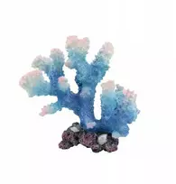 AquaNatura Aqua Natura Akvariumo dekoracija Koralas mėlynas didelis 14 cm