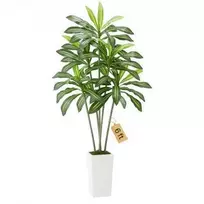 Vevor Dirbtinė Dracena su baltu vazonu