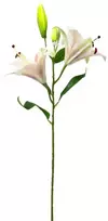 Dirbtinė kreminė lelijų šaka, 68 cm